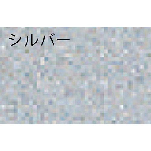 色見本：シルバー
