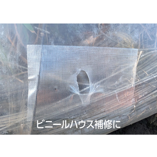 ※画像はEA944RR-41です。