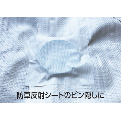 ※画像はEA944RR-42です。