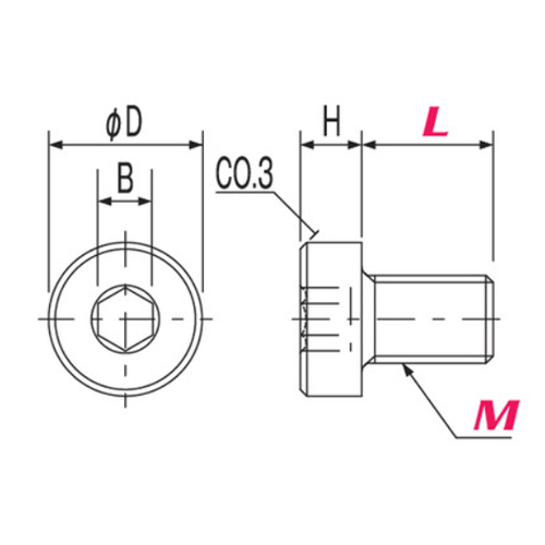 φD：5.5mm　B：2mm　H：2mm\nL：100mm　M3