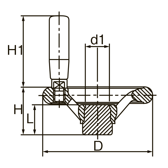D:100mm　　　　　H:43mm　　　　　L:27mm　　　　　d1:22mm　　　　　H1:65mm