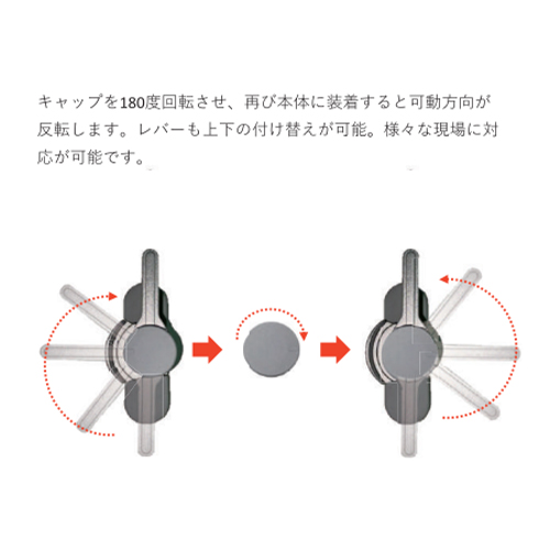 左右兼用