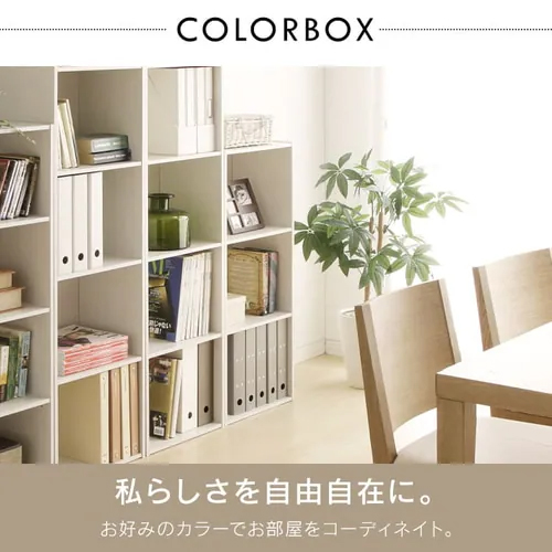 ※カラーは異なります。