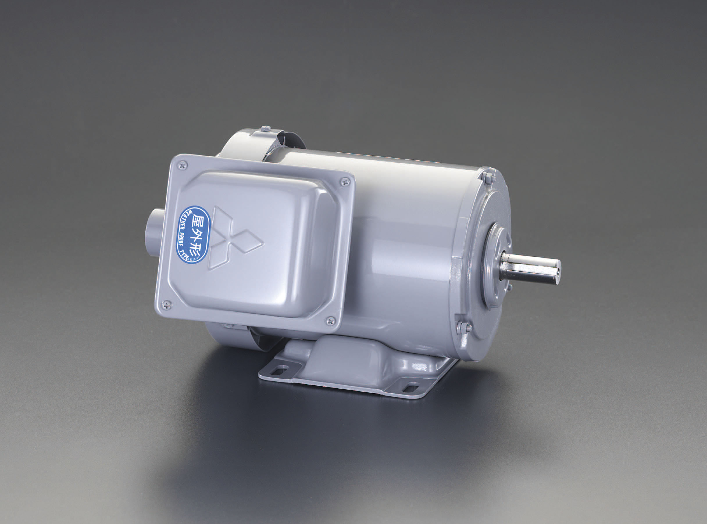 EA968BB-2｜AC200V・0.2 kw 三相ﾓｰﾀｰ(全閉外扇・屋外形)｜株式会社エスコ