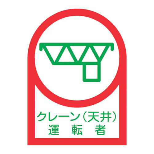 ※10枚入