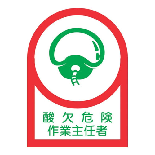 ※2枚入