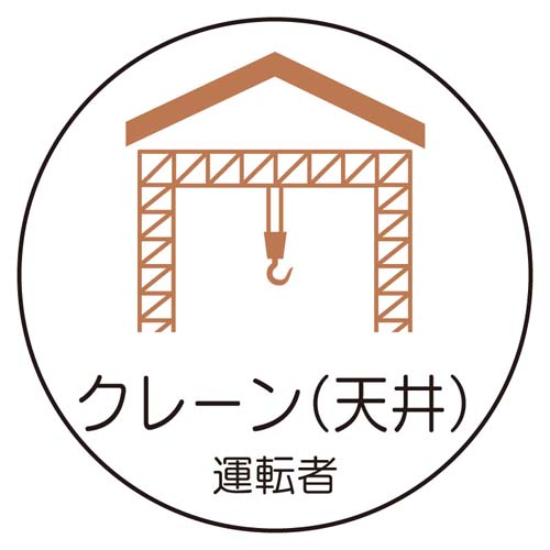 ※2枚入り
