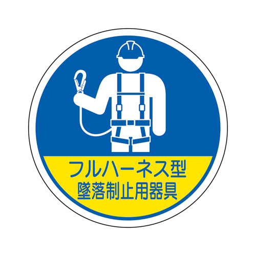 ※2枚入