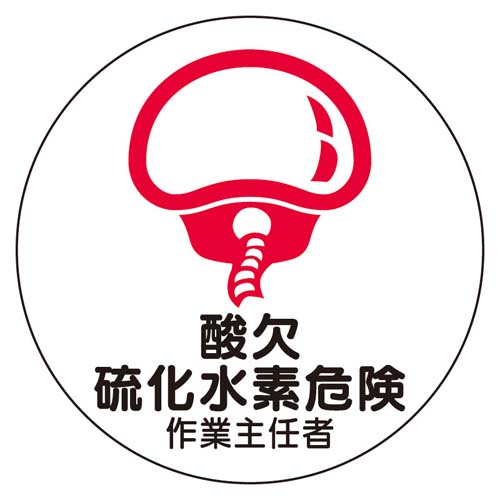 ※2枚入り