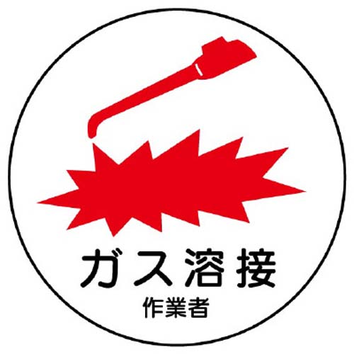 ※2枚入り