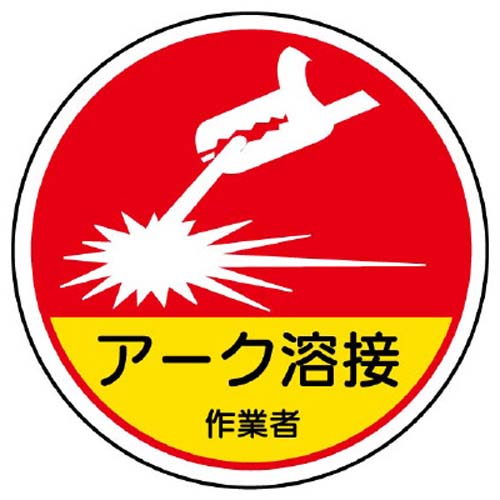 ※2枚入り