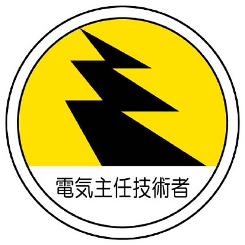 ※2枚入り