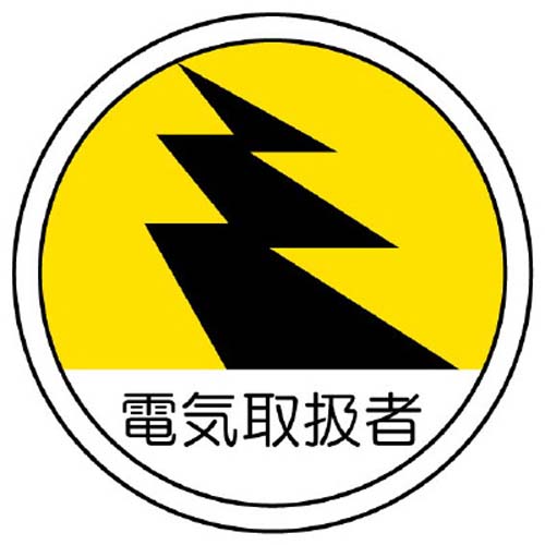 ※2枚入り