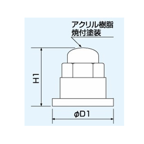 H1：40mm　　　D1：29mm