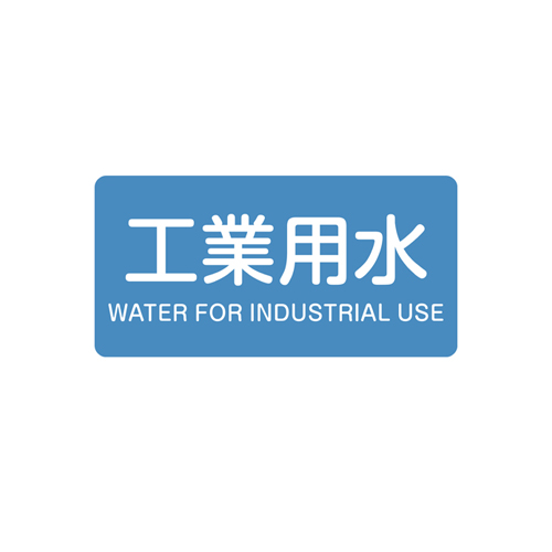 入数：1枚