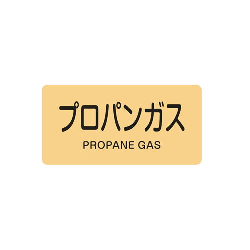 入数：1枚
