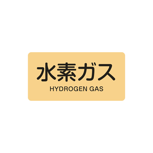 入数：1枚