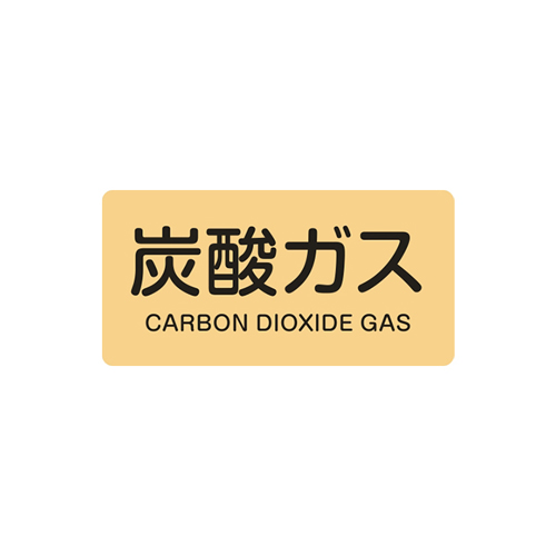 入数：1枚