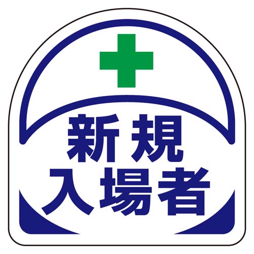 ※2枚入り