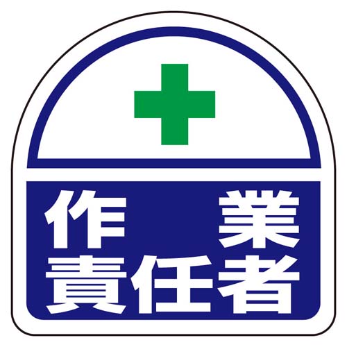 ※2枚入り