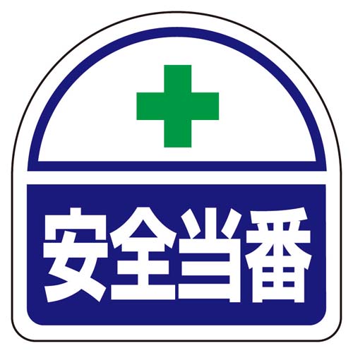 ※2枚入り