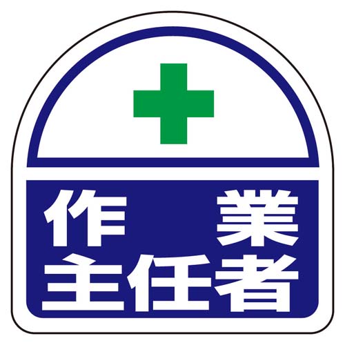 ※2枚入り