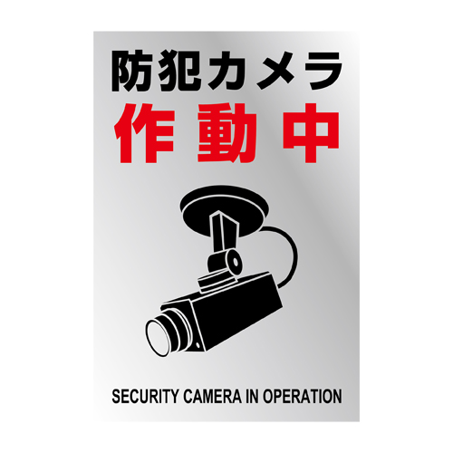 入数：2枚