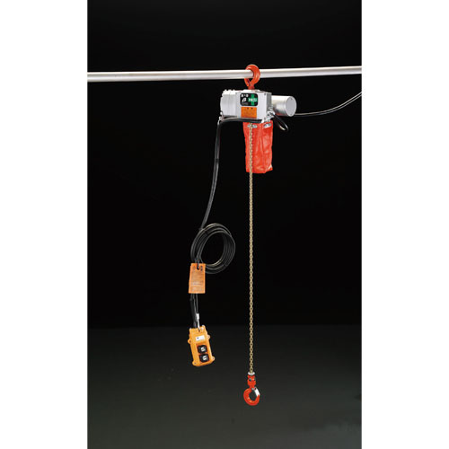 定格荷重：125kg\n揚程：10m\n巻上速度：6.5m/分