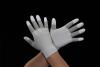 [Ｓ] 手袋(制電･ﾅｲﾛﾝ､ﾎﾟﾘｴｽﾃﾙ指先ｺｰﾃｨﾝｸﾞ)