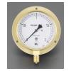 G 3/8"/100mm/ 0-3.0MPa つば付圧力計