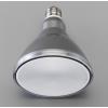 AC100V/4.4W/E26 電球/ＬＥＤ(電球色)
