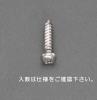 2 x  4mm  鍋頭ﾀｯﾋﾟﾝｸﾞﾋﾞｽ(ｽﾃﾝﾚｽ製/40本)