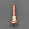 3.8x38㎜ 鍋頭木ねじ(鉄ｸﾛﾒｰﾄ/13本)