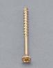 3.8x75mm 木工用ビス(細・130本)