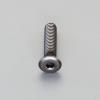 M6 x10mm 六角穴付ﾎﾞﾙﾄ(超低頭/ｸﾛﾒｰﾄ/4本)