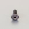 M10x10mm 六角穴付ﾎﾞﾙﾄ(超低頭/2本)