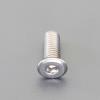 M3 x10mm 六角穴付ﾎﾞﾙﾄ(超低頭/ｽﾃﾝﾚｽ/2本)