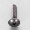 M6x10mm トラス頭小ねじ(ｽﾃﾝﾚｽ/黒色/8本)