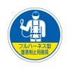 φ35mm ﾍﾙﾒｯﾄｽﾃｯｶｰ(墜落制止用器具/2枚)