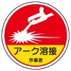 EA983AN-49A
