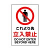 ＪＩＳ安全標識ｽﾃｯｶｰ[これより先立入禁止]