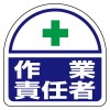 EA983RH-38A